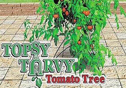 Tospy Turvy Tomato Tree