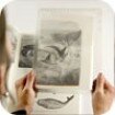 Page Magnifier
