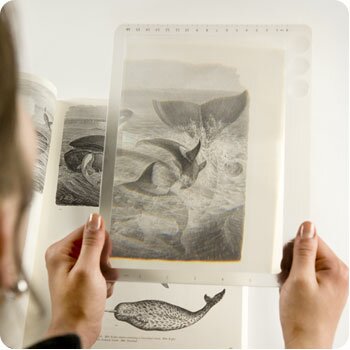 Page Magnifier
