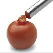 Seed & Stem Remover