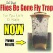 Flies Be Gone