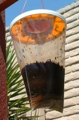 Flies Be Gone