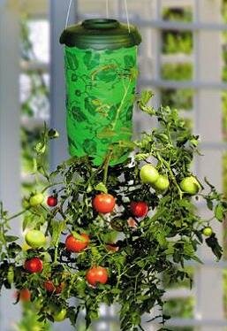 Topsy Turvy Tomato Planter