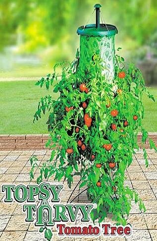 Topsy Turvy Tomato Tree