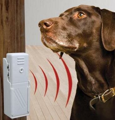 Bark Buster