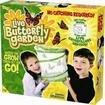 Live Butterfly Garden